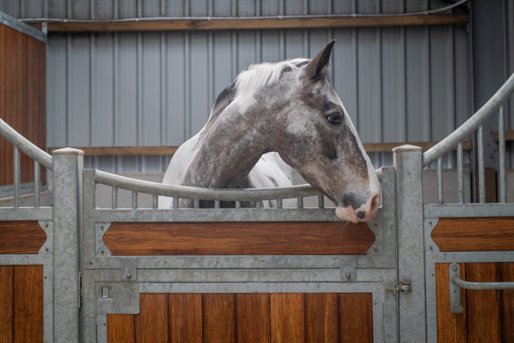 Stringer Equine Veterinary Surgeons (Web) 027