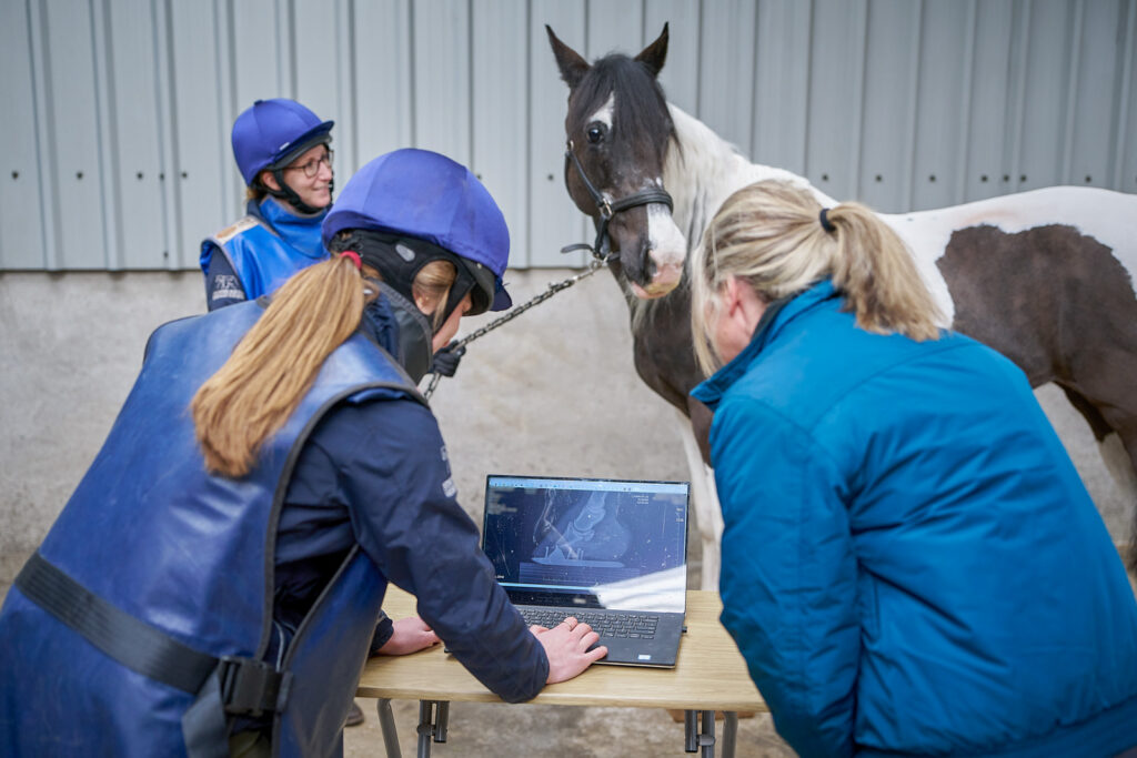 Stringer Equine Veterinary Surgeons (Web) 027