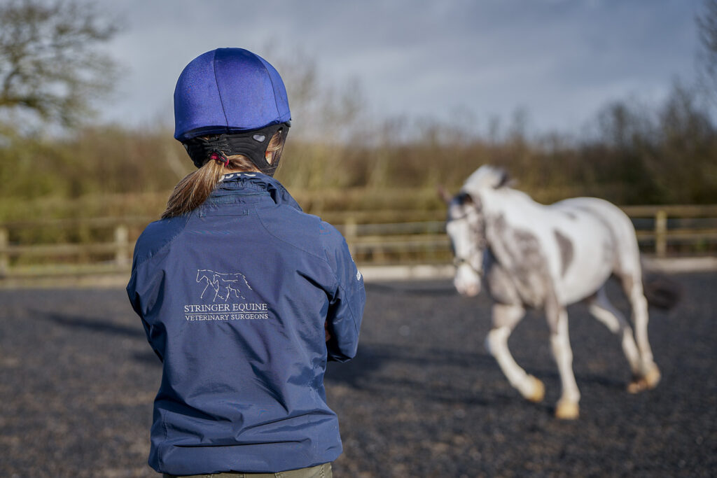 Stringer Equine Veterinary Surgeons (Web) 047