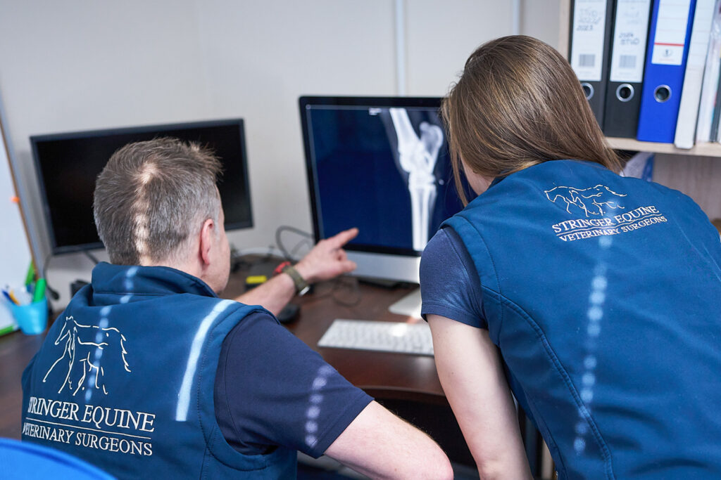 Stringer Equine Veterinary Surgeons (Web) 127