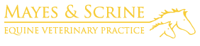 Mayes and Scrine Equine Vets